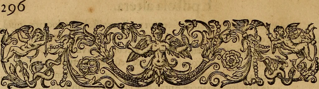 An illustration from Americae tertia pars : memorabile provinciæ Brasiliæ historiam contines, 1592, leaf 317