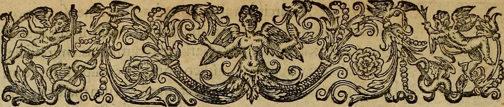 An illustration from Americae tertia pars : memorabile provinciæ Brasiliæ historiam contines, 1592, leaf 33