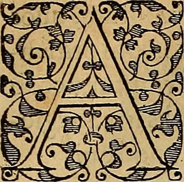 An illustration from Americae tertia pars : memorabile provinciæ Brasiliæ historiam contines, 1592, leaf 36