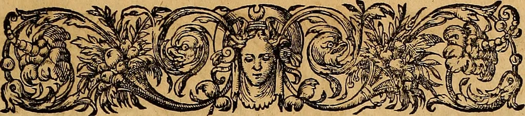 An illustration from Americae tertia pars : memorabile provinciæ Brasiliæ historiam contines, 1592, leaf 38