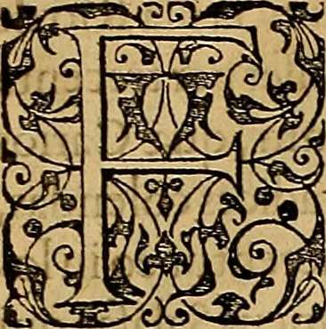 An illustration from Americae tertia pars : memorabile provinciæ Brasiliæ historiam contines, 1592, leaf 40