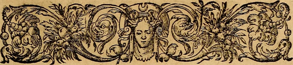 An illustration from Americae tertia pars : memorabile provinciæ Brasiliæ historiam contines, 1592, leaf 44