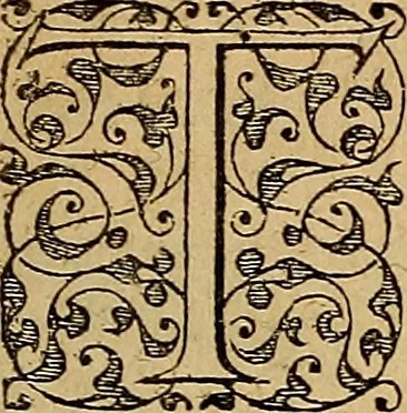 An illustration from Americae tertia pars : memorabile provinciæ Brasiliæ historiam contines, 1592, leaf 44