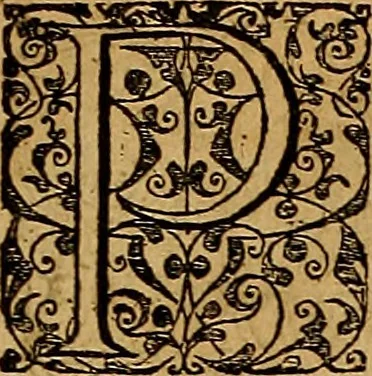 An illustration from Americae tertia pars : memorabile provinciæ Brasiliæ historiam contines, 1592, leaf 46