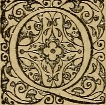An illustration from Americae tertia pars : memorabile provinciæ Brasiliæ historiam contines, 1592, leaf 49
