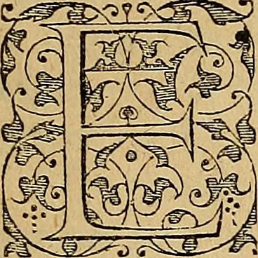 An illustration from Americae tertia pars : memorabile provinciæ Brasiliæ historiam contines, 1592, leaf 50
