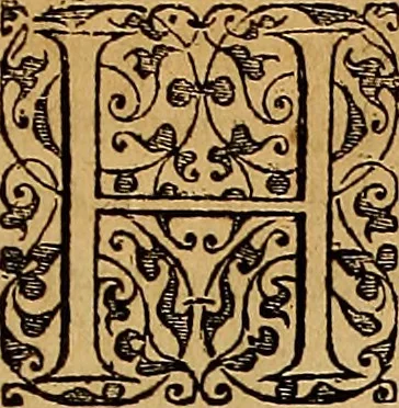 An illustration from Americae tertia pars : memorabile provinciæ Brasiliæ historiam contines, 1592, leaf 56