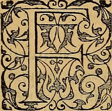 An illustration from Americae tertia pars : memorabile provinciæ Brasiliæ historiam contines, 1592, leaf 66