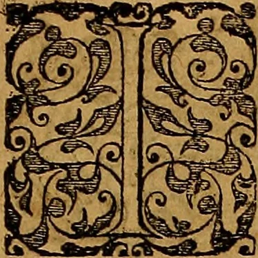 An illustration from Americae tertia pars : memorabile provinciæ Brasiliæ historiam contines, 1592, leaf 74
