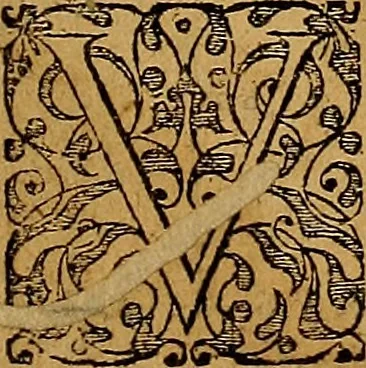 An illustration from Americae tertia pars : memorabile provinciæ Brasiliæ historiam contines, 1592, leaf 8