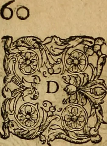 An illustration from Americae tertia pars : memorabile provinciæ Brasiliæ historiam contines, 1592, leaf 81