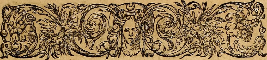An illustration from Americae tertia pars : memorabile provinciæ Brasiliæ historiam contines, 1592, leaf 82