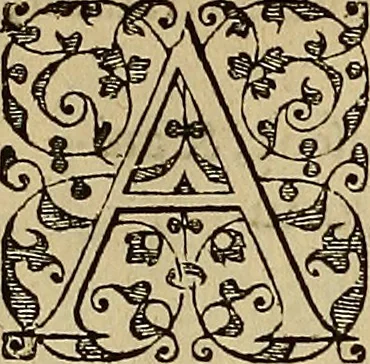 An illustration from Americae tertia pars : memorabile provinciæ Brasiliæ historiam contines, 1592, leaf 85