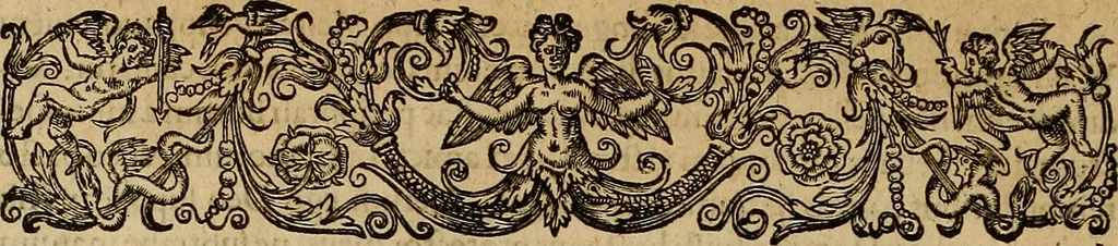 An illustration from Americae tertia pars : memorabile provinciæ Brasiliæ historiam contines, 1592, leaf 87