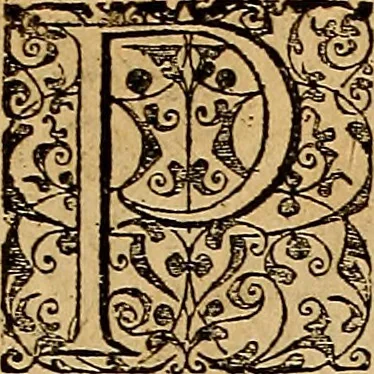 An illustration from Americae tertia pars : memorabile provinciæ Brasiliæ historiam contines, 1592, leaf 88