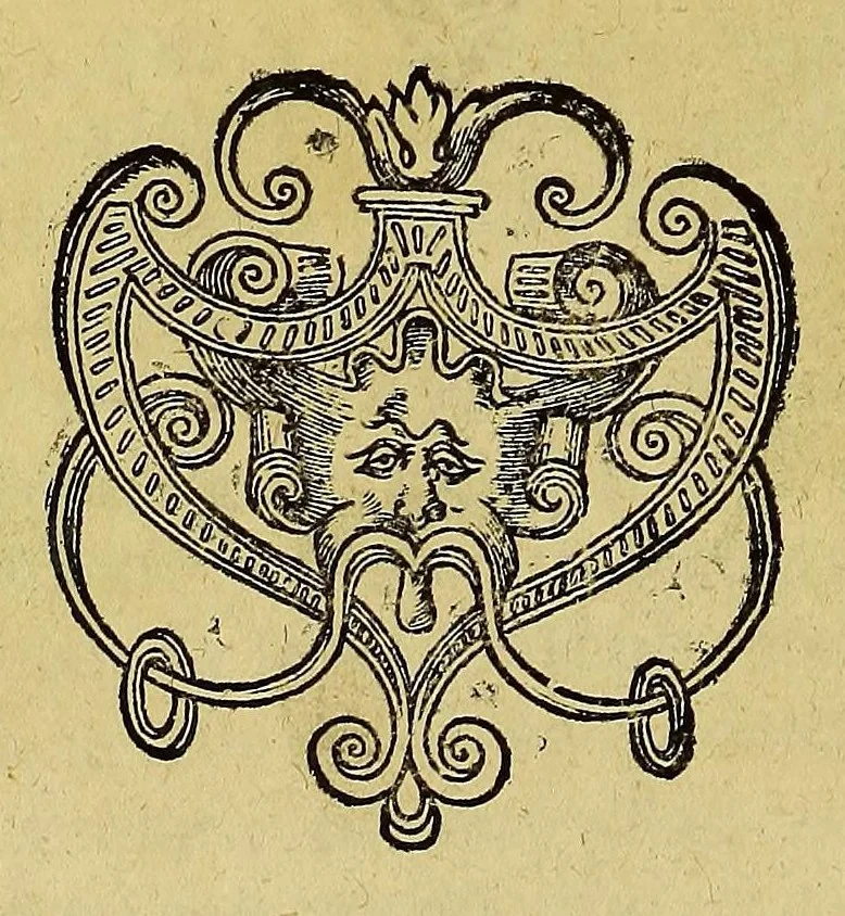 An illustration from Americae tertia pars Memorabile[m] provinciae Brasiliae historiam contine[n]s, Germanico primùm sermone scriptam à Ioa[n]ne Stadio Homburgensi Hesso, nunc autem Latinitate donatam à Teucrio Annaeo Priuato Colchanthe Po: & Med: addita est narratio profectionis Ioannis Lerij in eamdem provinciam, qua[m] ille initio Gallicè conscripsit, postea verò Latinam fecit. : His accessit descriptio morum & ferocitatis incolarum illius regionis, atque colloquium ipsorum idiomate conscriptum., 1597, leaf 30