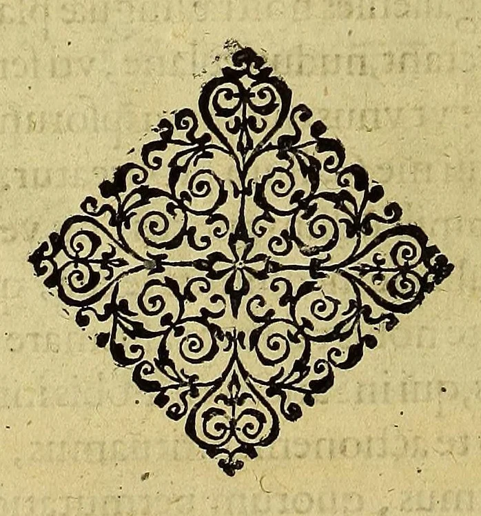 An illustration from Americae tertia pars Memorabile[m] provinciae Brasiliae historiam contine[n]s, Germanico primùm sermone scriptam à Ioa[n]ne Stadio Homburgensi Hesso, nunc autem Latinitate donatam à Teucrio Annaeo Priuato Colchanthe Po: & Med: addita est narratio profectionis Ioannis Lerij in eamdem provinciam, qua[m] ille initio Gallicè conscripsit, postea verò Latinam fecit. : His accessit descriptio morum & ferocitatis incolarum illius regionis, atque colloquium ipsorum idiomate conscriptum., 1597, leaf 94