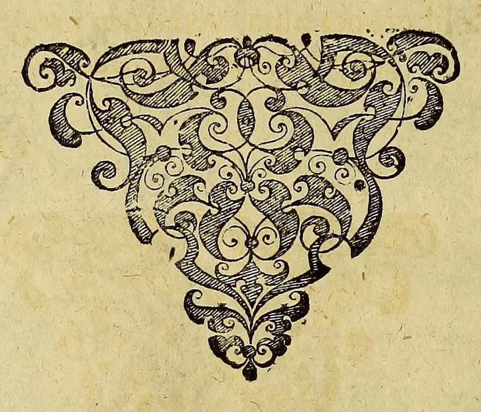 An illustration from Americae tertia pars Memorabile[m] provinciae Brasiliae historiam contine[n]s, Germanico primùm sermone scriptam à Ioa[n]ne Stadio Hombergensi Hesso, nunc autem Latinitate donatam à Teucrio Annaeo Priuato Colchanthe Po: & Med: addita est narratio profectionis Ioannis Lerij in eamdem provinciam, qua[m] ille initio Gallicè conscripsit, postea verò Latinam fecit. : His accessit descriptio morum & ferocitatis incolarum illius regionis, atque colloquium ipsorum idiomate conscriptum., 1597, leaf 114
