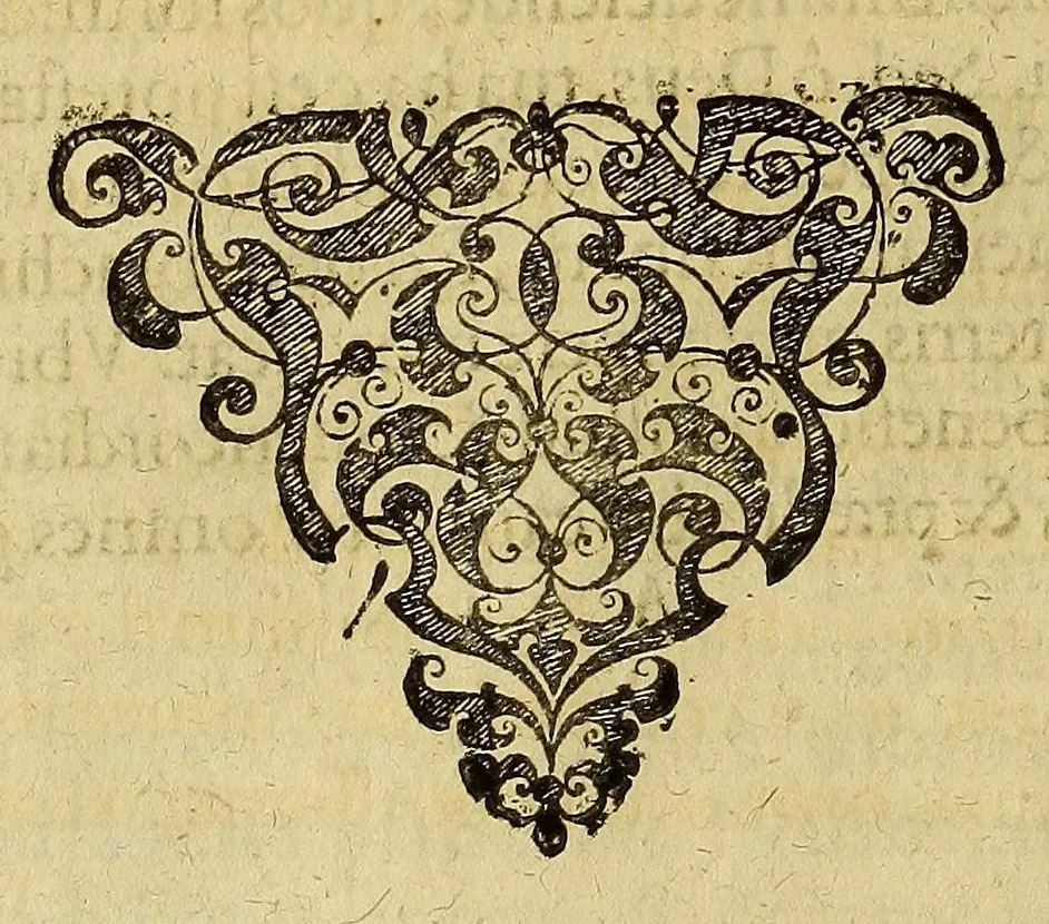 An illustration from Americae tertia pars Memorabile[m] provinciae Brasiliae historiam contine[n]s, Germanico primùm sermone scriptam à Ioa[n]ne Stadio Hombergensi Hesso, nunc autem Latinitate donatam à Teucrio Annaeo Priuato Colchanthe Po: & Med: addita est narratio profectionis Ioannis Lerij in eamdem provinciam, qua[m] ille initio Gallicè conscripsit, postea verò Latinam fecit. : His accessit descriptio morum & ferocitatis incolarum illius regionis, atque colloquium ipsorum idiomate conscriptum., 1597, leaf 124