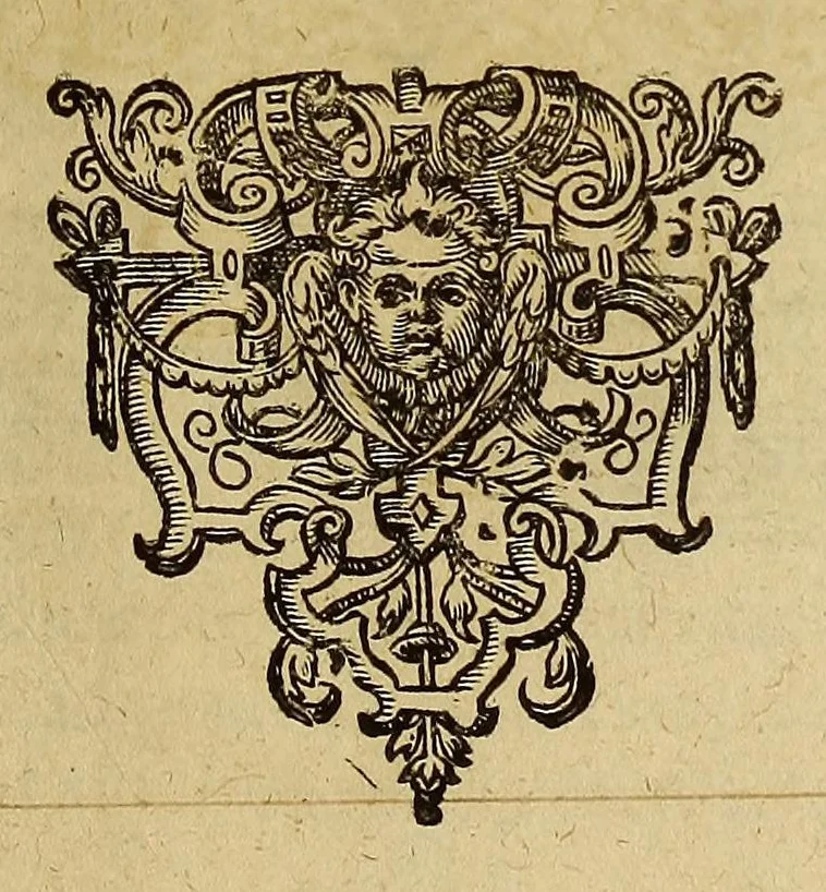 An illustration from Americae tertia pars Memorabile[m] provinciae Brasiliae historiam contine[n]s, Germanico primùm sermone scriptam à Ioa[n]ne Stadio Hombergensi Hesso, nunc autem Latinitate donatam à Teucrio Annaeo Priuato Colchanthe Po: & Med: addita est narratio profectionis Ioannis Lerij in eamdem provinciam, qua[m] ille initio Gallicè conscripsit, postea verò Latinam fecit. : His accessit descriptio morum & ferocitatis incolarum illius regionis, atque colloquium ipsorum idiomate conscriptum., 1597, leaf 47