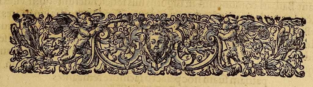 An illustration from Americae tertia pars Memorabile[m] provinciae Brasiliae historiam contine[n]s, Germanico primùm sermone scriptam à Ioa[n]ne Stadio Hombergensi Hesso, nunc autem Latinitate donatam à Teucrio Annaeo Priuato Colchanthe Po: & Med: addita est narratio profectionis Ioannis Lerij in eamdem provinciam, qua[m] ille initio Gallicè conscripsit, postea verò Latinam fecit. : His accessit descriptio morum & ferocitatis incolarum illius regionis, atque colloquium ipsorum idiomate conscriptum., 1597, leaf 53