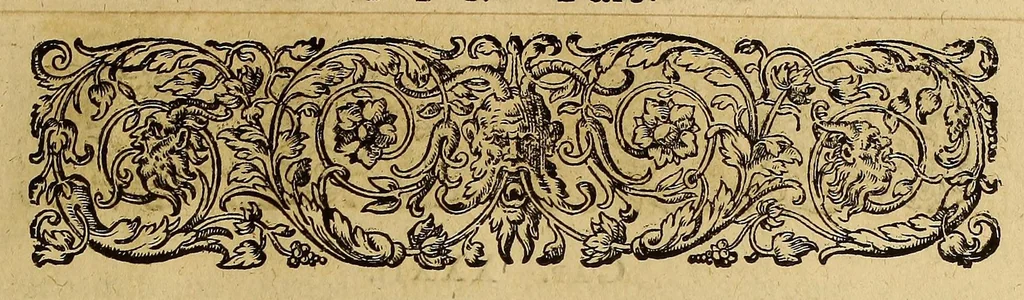 An illustration from Americae tertia pars Memorabile[m] provinciae Brasiliae historiam contine[n]s, Germanico primùm sermone scriptam à Ioa[n]ne Stadio Hombergensi Hesso, nunc autem Latinitate donatam à Teucrio Annaeo Priuato Colchanthe Po: & Med: addita est narratio profectionis Ioannis Lerij in eamdem provinciam, qua[m] ille initio Gallicè conscripsit, postea verò Latinam fecit. : His accessit descriptio morum & ferocitatis incolarum illius regionis, atque colloquium ipsorum idiomate conscriptum., 1597, leaf 79