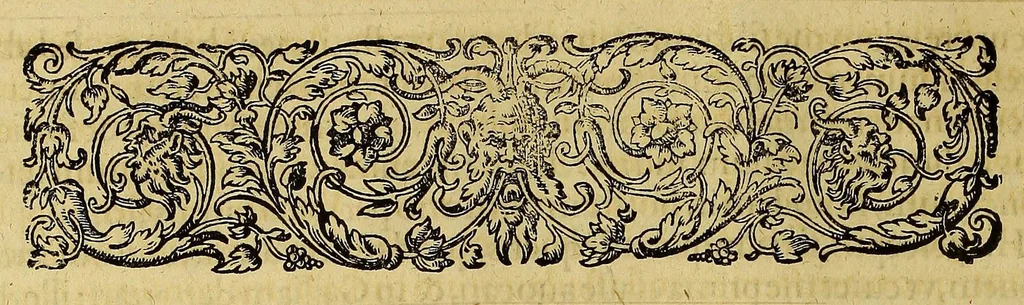 An illustration from Americae tertia pars Memorabile[m] provinciae Brasiliae historiam contine[n]s, Germanico primùm sermone scriptam à Ioa[n]ne Stadio Hombergensi Hesso, nunc autem Latinitate donatam à Teucrio Annaeo Priuato Colchanthe Po: & Med: addita est narratio profectionis Ioannis Lerij in eamdem provinciam, qua[m] ille initio Gallicè conscripsit, postea verò Latinam fecit. : His accessit descriptio morum & ferocitatis incolarum illius regionis, atque colloquium ipsorum idiomate conscriptum., 1597, leaf 88