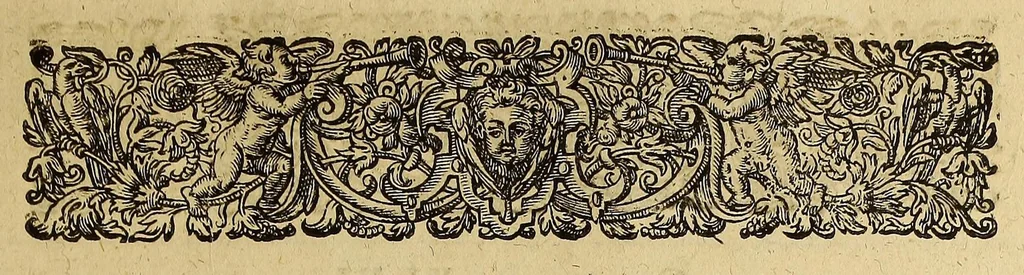 An illustration from Americae tertia pars Memorabile[m] provinciae Brasiliae historiam contine[n]s, Germanico primùm sermone scriptam à Ioa[n]ne Stadio Hombergensi Hesso, nunc autem Latinitate donatam à Teucrio Annaeo Priuato Colchanthe Po: & Med: addita est narratio profectionis Ioannis Lerij in eamdem provinciam, qua[m] ille initio Gallicè conscripsit, postea verò Latinam fecit. : His accessit descriptio morum & ferocitatis incolarum illius regionis, atque colloquium ipsorum idiomate conscriptum., 1597, leaf 127
