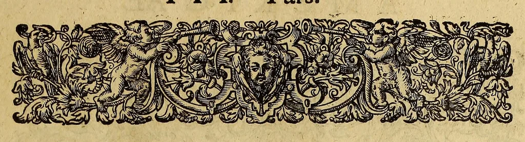 An illustration from Americae tertia pars Memorabile[m] provinciae Brasiliae historiam contine[n]s, Germanico primùm sermone scriptam à Ioa[n]ne Stadio Hombergensi Hesso, nunc autem Latinitate donatam à Teucrio Annaeo Priuato Colchanthe Po: & Med: addita est narratio profectionis Ioannis Lerij in eamdem provinciam, qua[m] ille initio Gallicè conscripsit, postea verò Latinam fecit. : His accessit descriptio morum & ferocitatis incolarum illius regionis, atque colloquium ipsorum idiomate conscriptum., 1597, leaf 133