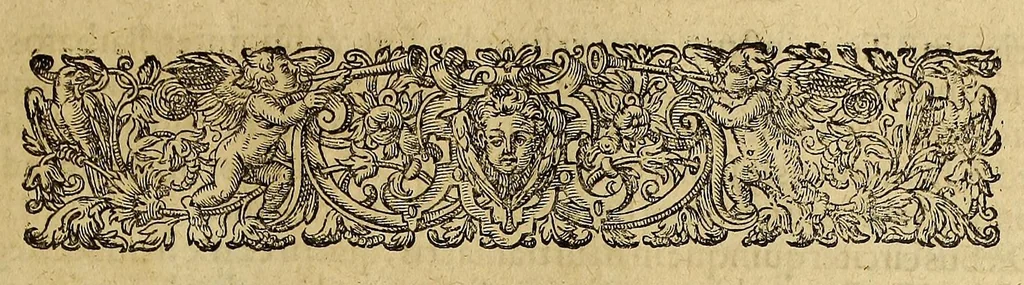 An illustration from Americae tertia pars Memorabile[m] provinciae Brasiliae historiam contine[n]s, Germanico primùm sermone scriptam à Ioa[n]ne Stadio Hombergensi Hesso, nunc autem Latinitate donatam à Teucrio Annaeo Priuato Colchanthe Po: & Med: addita est narratio profectionis Ioannis Lerij in eamdem provinciam, qua[m] ille initio Gallicè conscripsit, postea verò Latinam fecit. : His accessit descriptio morum & ferocitatis incolarum illius regionis, atque colloquium ipsorum idiomate conscriptum., 1597, leaf 135