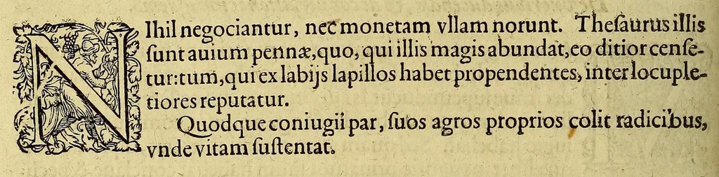 An illustration from Americae tertia pars Memorabile[m] provinciae Brasiliae historiam contine[n]s, Germanico primùm sermone scriptam à Ioa[n]ne Stadio Hombergensi Hesso, nunc autem Latinitate donatam à Teucrio Annaeo Priuato Colchanthe Po: & Med: addita est narratio profectionis Ioannis Lerij in eamdem provinciam, qua[m] ille initio Gallicè conscripsit, postea verò Latinam fecit. : His accessit descriptio morum & ferocitatis incolarum illius regionis, atque colloquium ipsorum idiomate conscriptum., 1597, leaf 158