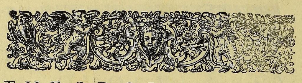 An illustration from Americae tertia pars Memorabile[m] provinciae Brasiliae historiam contine[n]s, Germanico primùm sermone scriptam à Ioa[n]ne Stadio Hombergensi Hesso, nunc autem Latinitate donatam à Teucrio Annaeo Priuato Colchanthe Po: & Med: addita est narratio profectionis Ioannis Lerij in eamdem provinciam, qua[m] ille initio Gallicè conscripsit, postea verò Latinam fecit. : His accessit descriptio morum & ferocitatis incolarum illius regionis, atque colloquium ipsorum idiomate conscriptum., 1597, leaf 16