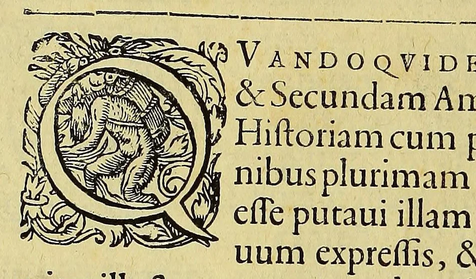 An illustration from Americae tertia pars Memorabile[m] provinciae Brasiliae historiam contine[n]s, Germanico primùm sermone scriptam à Ioa[n]ne Stadio Hombergensi Hesso, nunc autem Latinitate donatam à Teucrio Annaeo Priuato Colchanthe Po: & Med: addita est narratio profectionis Ioannis Lerij in eamdem provinciam, qua[m] ille initio Gallicè conscripsit, postea verò Latinam fecit. : His accessit descriptio morum & ferocitatis incolarum illius regionis, atque colloquium ipsorum idiomate conscriptum., 1597, leaf 16