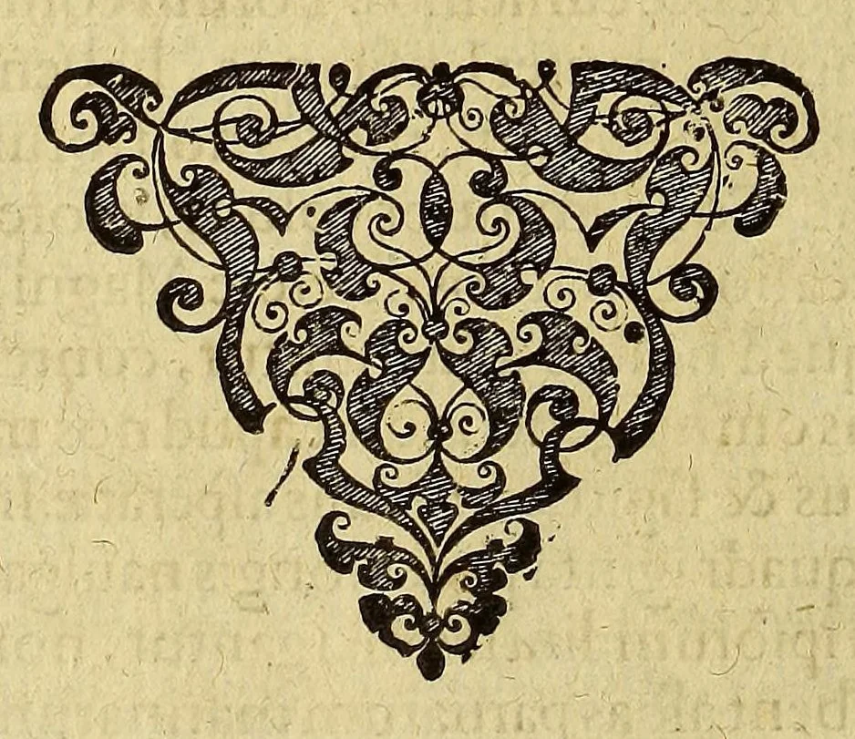 An illustration from Americae tertia pars Memorabile[m] provinciae Brasiliae historiam contine[n]s, Germanico primùm sermone scriptam à Ioa[n]ne Stadio Hombergensi Hesso, nunc autem Latinitate donatam à Teucrio Annaeo Priuato Colchanthe Po: & Med: addita est narratio profectionis Ioannis Lerij in eamdem provinciam, qua[m] ille initio Gallicè conscripsit, postea verò Latinam fecit. : His accessit descriptio morum & ferocitatis incolarum illius regionis, atque colloquium ipsorum idiomate conscriptum., 1597, leaf 336