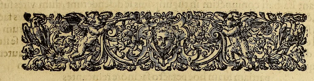 An illustration from Americae tertia pars Memorabile[m] provinciae Brasiliae historiam contine[n]s, Germanico primùm sermone scriptam à Ioa[n]ne Stadio Hombergensi Hesso, nunc autem Latinitate donatam à Teucrio Annaeo Priuato Colchanthe Po: & Med: addita est narratio profectionis Ioannis Lerij in eamdem provinciam, qua[m] ille initio Gallicè conscripsit, postea verò Latinam fecit. : His accessit descriptio morum & ferocitatis incolarum illius regionis, atque colloquium ipsorum idiomate conscriptum., 1597, leaf 61