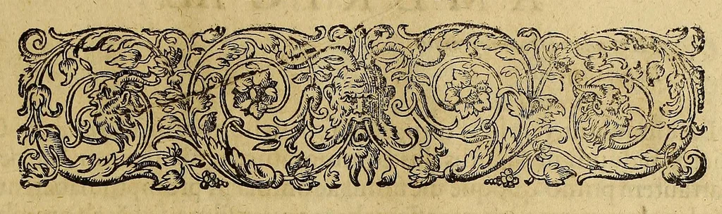An illustration from Americae tertia pars Memorabile[m] provinciae Brasiliae historiam contine[n]s, Germanico primùm sermone scriptam à Ioa[n]ne Stadio Hombergensi Hesso, nunc autem Latinitate donatam à Teucrio Annaeo Priuato Colchanthe Po: & Med: addita est narratio profectionis Ioannis Lerij in eamdem provinciam, qua[m] ille initio Gallicè conscripsit, postea verò Latinam fecit. : His accessit descriptio morum & ferocitatis incolarum illius regionis, atque colloquium ipsorum idiomate conscriptum., 1597, leaf 79