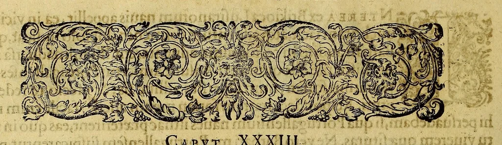 An illustration from Americae tertia pars Memorabile[m] provinciae Brasiliae historiam contine[n]s, Germanico primùm sermone scriptam à Ioa[n]ne Stadio Hombergensi Hesso, nunc autem Latinitate donatam à Teucrio Annaeo Priuato Colchanthe Po: & Med: addita est narratio profectionis Ioannis Lerij in eamdem provinciam, qua[m] ille initio Gallicè conscripsit, postea verò Latinam fecit. : His accessit descriptio morum & ferocitatis incolarum illius regionis, atque colloquium ipsorum idiomate conscriptum., 1597, leaf 90