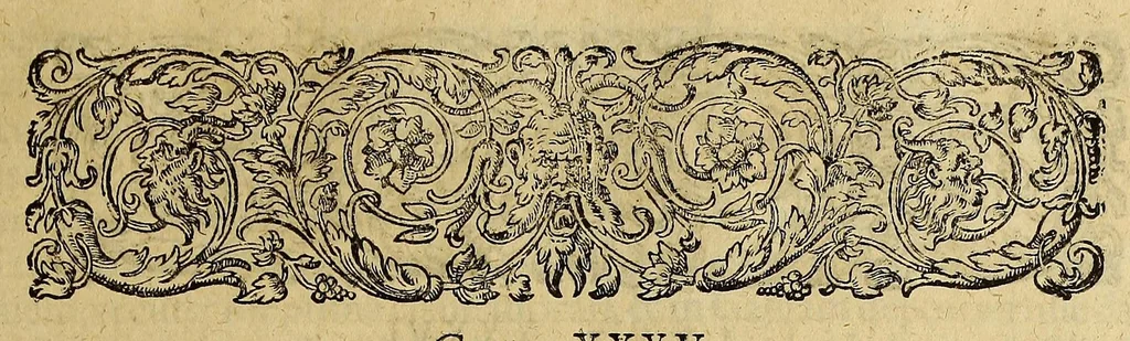 An illustration from Americae tertia pars Memorabile[m] provinciae Brasiliae historiam contine[n]s, Germanico primùm sermone scriptam à Ioa[n]ne Stadio Hombergensi Hesso, nunc autem Latinitate donatam à Teucrio Annaeo Priuato Colchanthe Po: & Med: addita est narratio profectionis Ioannis Lerij in eamdem provinciam, qua[m] ille initio Gallicè conscripsit, postea verò Latinam fecit. : His accessit descriptio morum & ferocitatis incolarum illius regionis, atque colloquium ipsorum idiomate conscriptum., 1597, leaf 93