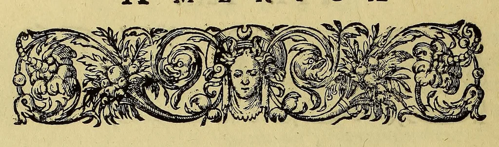 An illustration from Americae tertia pars Memorabile[m] provinciae Brasiliae historiam contine[n]s, Germanico primùm sermone scriptam à Ioa[n]ne Stadio Homburgensi Hesso, nunc autem Latinitate donatam à Teucrio Annaeo Priuato Colchanthe Po: & Med: addita est narratio profectionis Ioannis Lerij in eamdem provinciam, qua[m] ille initio Gallicè conscripsit, postea verò Latinam fecit. : His accessit descriptio morum & ferocitatis incolarum illius regionis, atque colloquium ipsorum idiomate conscriptum., 1592, leaf 100