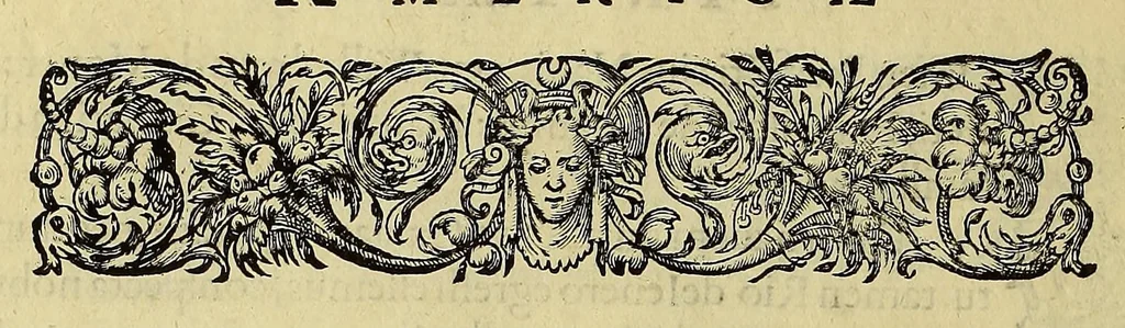 An illustration from Americae tertia pars Memorabile[m] provinciae Brasiliae historiam contine[n]s, Germanico primùm sermone scriptam à Ioa[n]ne Stadio Homburgensi Hesso, nunc autem Latinitate donatam à Teucrio Annaeo Priuato Colchanthe Po: & Med: addita est narratio profectionis Ioannis Lerij in eamdem provinciam, qua[m] ille initio Gallicè conscripsit, postea verò Latinam fecit. : His accessit descriptio morum & ferocitatis incolarum illius regionis, atque colloquium ipsorum idiomate conscriptum., 1592, leaf 136