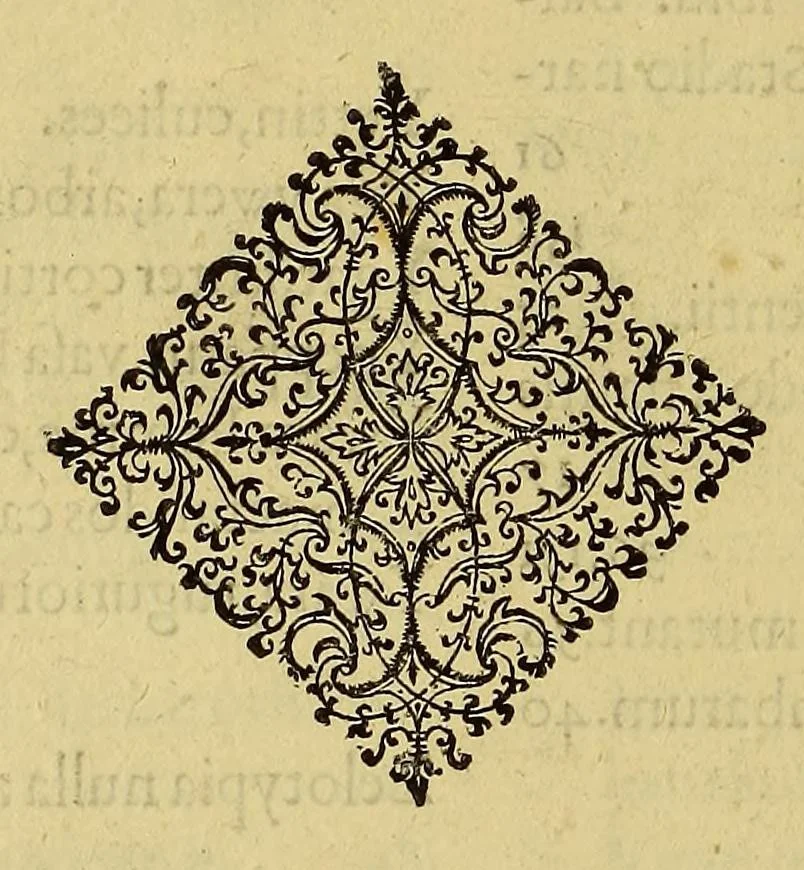 An illustration from Americae tertia pars Memorabile[m] provinciae Brasiliae historiam contine[n]s, Germanico primùm sermone scriptam à Ioa[n]ne Stadio Homburgensi Hesso, nunc autem Latinitate donatam à Teucrio Annaeo Priuato Colchanthe Po: & Med: addita est narratio profectionis Ioannis Lerij in eamdem provinciam, qua[m] ille initio Gallicè conscripsit, postea verò Latinam fecit. : His accessit descriptio morum & ferocitatis incolarum illius regionis, atque colloquium ipsorum idiomate conscriptum., 1592, leaf 350