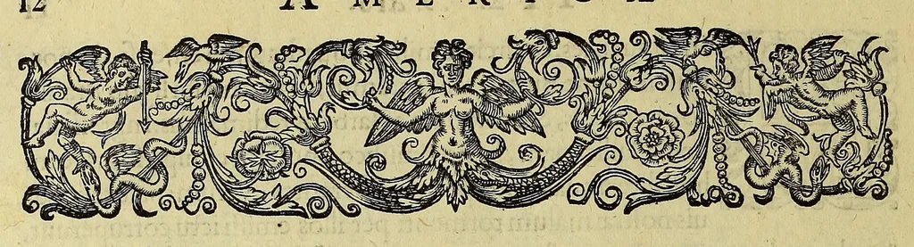 An illustration from Americae tertia pars Memorabile[m] provinciae Brasiliae historiam contine[n]s, Germanico primùm sermone scriptam à Ioa[n]ne Stadio Homburgensi Hesso, nunc autem Latinitate donatam à Teucrio Annaeo Priuato Colchanthe Po: & Med: addita est narratio profectionis Ioannis Lerij in eamdem provinciam, qua[m] ille initio Gallicè conscripsit, postea verò Latinam fecit. : His accessit descriptio morum & ferocitatis incolarum illius regionis, atque colloquium ipsorum idiomate conscriptum., 1592, leaf 48