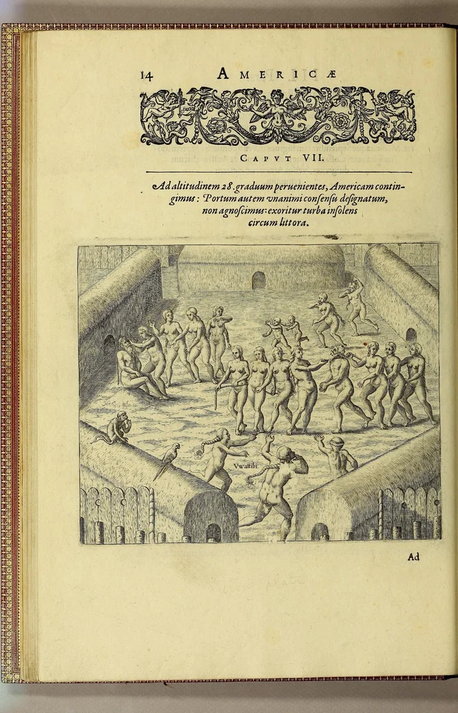 An illustration from Americae tertia pars Memorabile[m] provinciae Brasiliae historiam contine[n]s, Germanico primùm sermone scriptam à Ioa[n]ne Stadio Homburgensi Hesso, nunc autem Latinitate donatam à Teucrio Annaeo Priuato Colchanthe Po: & Med: addita est narratio profectionis Ioannis Lerij in eamdem provinciam, qua[m] ille initio Gallicè conscripsit, postea verò Latinam fecit. : His accessit descriptio morum & ferocitatis incolarum illius regionis, atque colloquium ipsorum idiomate conscriptum., 1592, leaf 50