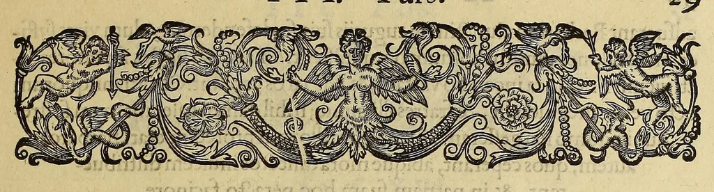 An illustration from Americae tertia pars Memorabile[m] provinciae Brasiliae historiam contine[n]s, Germanico primùm sermone scriptam à Ioa[n]ne Stadio Homburgensi Hesso, nunc autem Latinitate donatam à Teucrio Annaeo Priuato Colchanthe Po: & Med: addita est narratio profectionis Ioannis Lerij in eamdem provinciam, qua[m] ille initio Gallicè conscripsit, postea verò Latinam fecit. : His accessit descriptio morum & ferocitatis incolarum illius regionis, atque colloquium ipsorum idiomate conscriptum., 1592, leaf 67