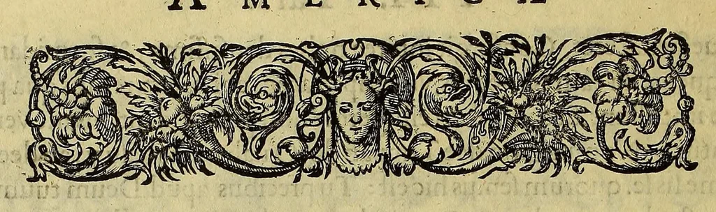An illustration from Americae tertia pars Memorabile[m] provinciae Brasiliae historiam contine[n]s, Germanico primùm sermone scriptam à Ioa[n]ne Stadio Homburgensi Hesso, nunc autem Latinitate donatam à Teucrio Annaeo Priuato Colchanthe Po: & Med: addita est narratio profectionis Ioannis Lerij in eamdem provinciam, qua[m] ille initio Gallicè conscripsit, postea verò Latinam fecit. : His accessit descriptio morum & ferocitatis incolarum illius regionis, atque colloquium ipsorum idiomate conscriptum., 1592, leaf 78