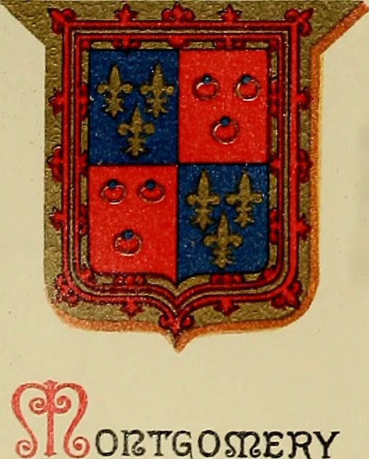 An illustration from America heraldica : a compilation of coats of arms, crests and mottoes of prominent American families settled in this country before 1800, 1889, leaf 9