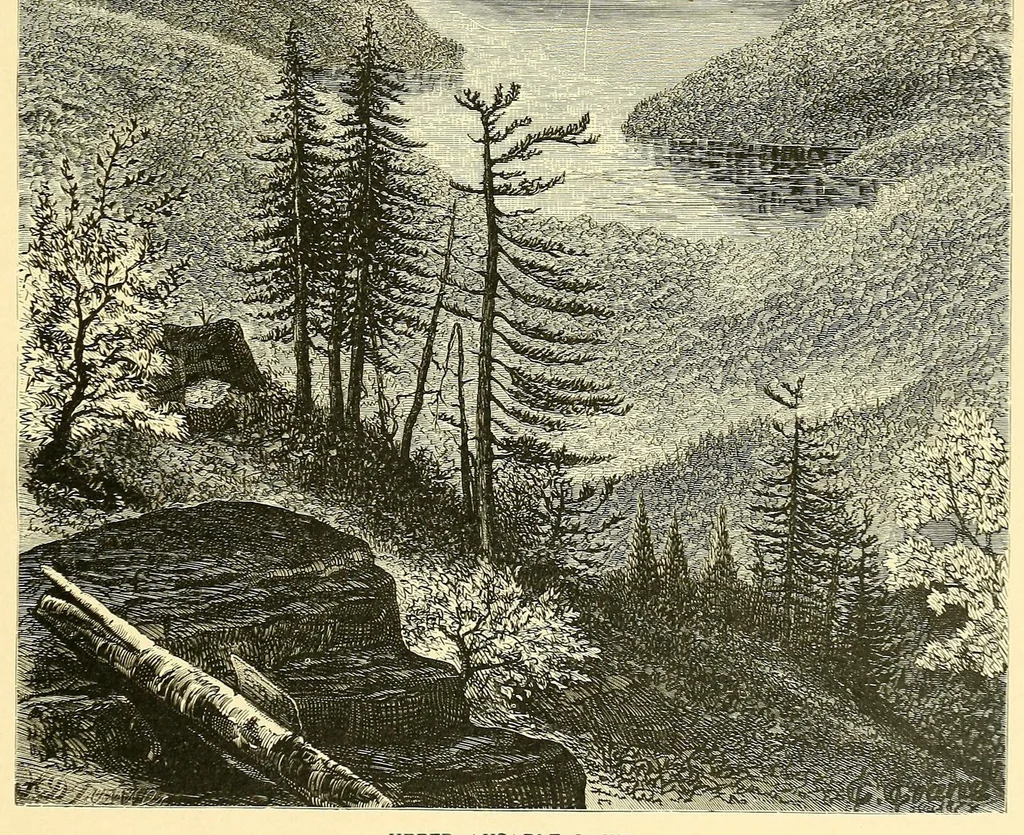 An illustration from America illustrated, 1883, leaf 101