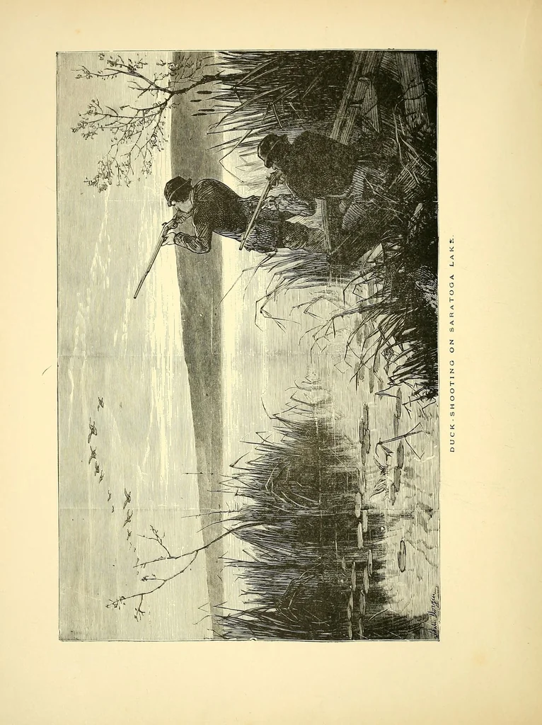 An illustration from America illustrated, 1883, leaf 78