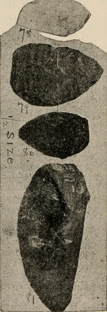An illustration from The American archaeologist [serial], 1898, leaf 155