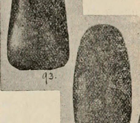 An illustration from The American archaeologist [serial], 1898, leaf 157